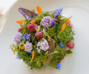 Our favourite gourmet ski hotels